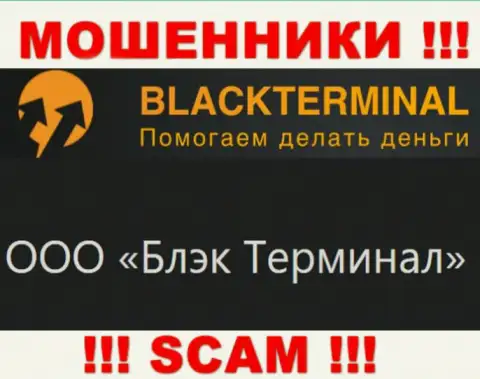 На официальном сайте BlackTerminal Ru сообщается, что юридическое лицо организации - ООО Блэк Терминал