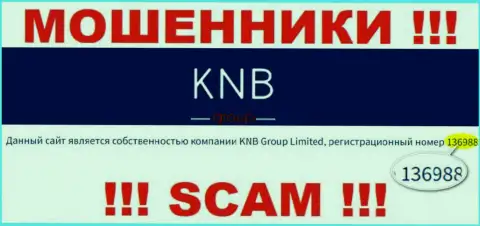Регистрационный номер организации, которая владеет KNB-Group Net - 136988