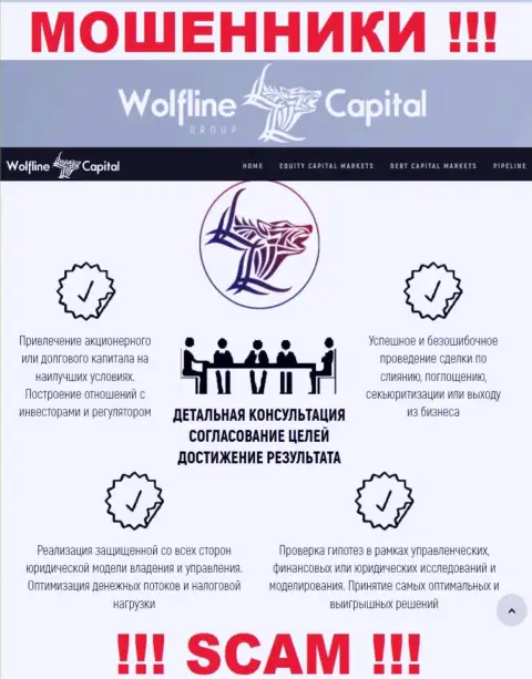 Не верьте, что область работы Wolfline Capital - Финансовый консалтинг легальна - это лохотрон