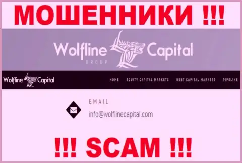 ВОРЮГИ Wolfline Capital показали у себя на информационном ресурсе e-mail организации - писать письмо слишком опасно