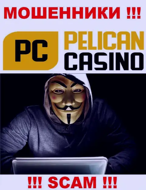 Люди руководящие конторой PelicanCasino Games решили о себе не афишировать