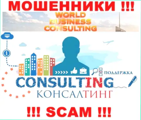 World Business Consulting заняты грабежом наивных клиентов, а Консалтинг только прикрытие