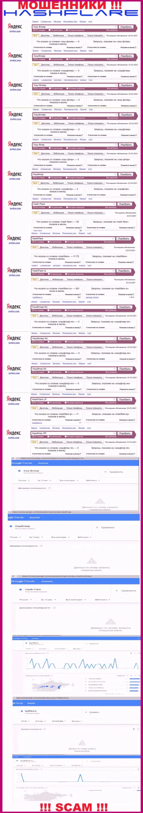 Суммарное число поисковых запросов в поисковиках сети internet по бренду жуликов ХэшФлэер