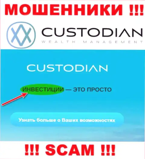 Очень опасно взаимодействовать с интернет ворюгами Custodian Ru, сфера деятельности которых Investing