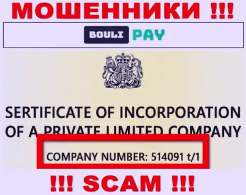 Регистрационный номер Bouli-Pay Com может быть и ненастоящий - 514091 t/1