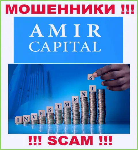 Не отправляйте денежные средства в Амир Капитал, направление деятельности которых - Инвестирование