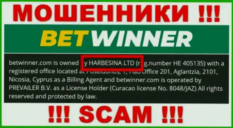 Шулера Бет Виннер утверждают, что HARBESINA LTD владеет их лохотронном