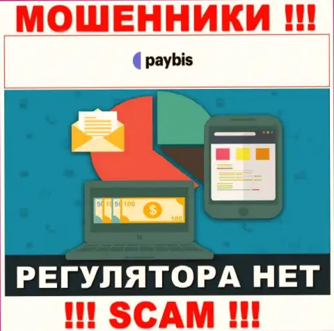 У PayBis на сайте не опубликовано информации об регулирующем органе и лицензии на осуществление деятельности конторы, следовательно их вообще нет