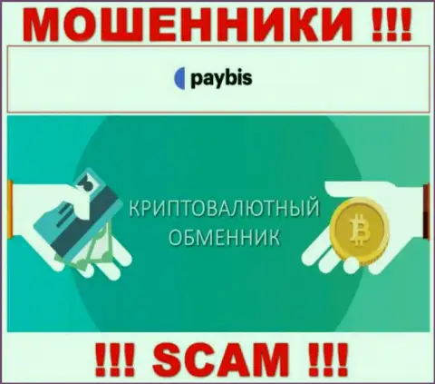 Крипто обменник это вид деятельности преступно действующей конторы PayBis Com