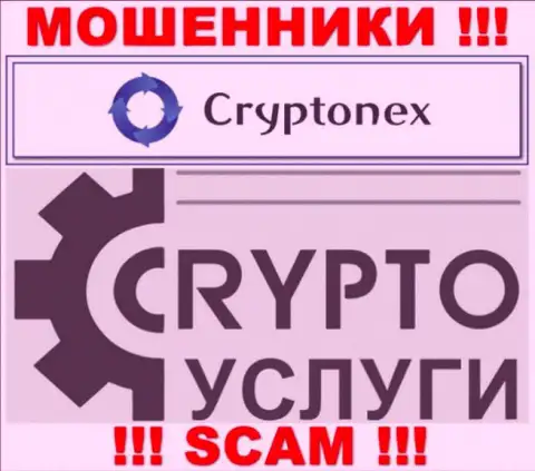 Работая совместно с Cryptonex LP, область работы которых Криптовалютные услуги, рискуете остаться без вложенных денег