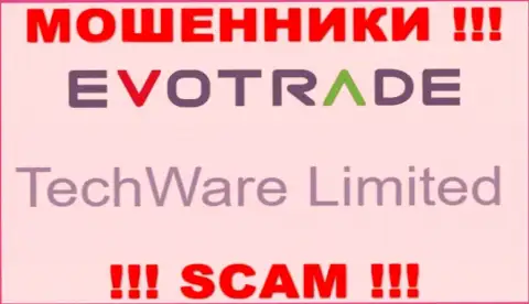 Юр лицом Evo Trade считается - TechWare Limited