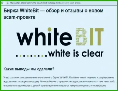 White Bit - это организация, совместное взаимодействие с которой приносит только лишь убытки (обзор)