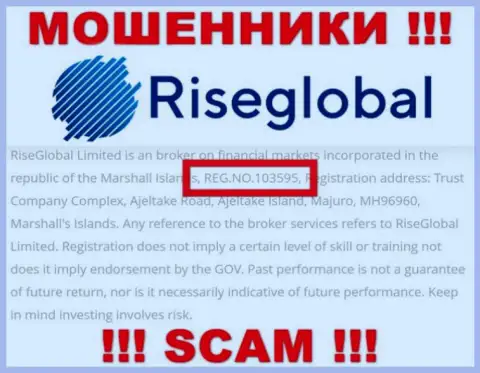 Номер регистрации RiseGlobal, который мошенники засветили на своей web странице: 103595