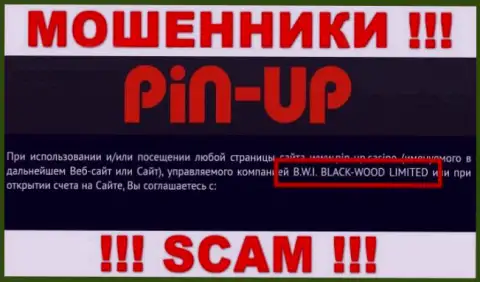 Мошенники Pin Up Casino принадлежат юридическому лицу - B.W.I. BLACK-WOOD LIMITED
