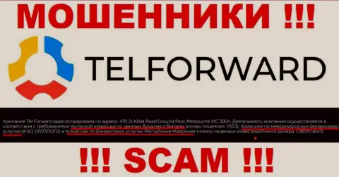 TelForward Net и курирующий их противоправные деяния орган (FSC), являются обманщиками