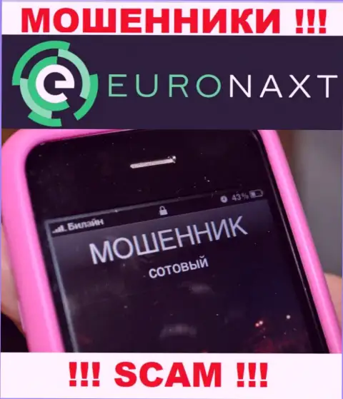 Вас пытаются развести на деньги, Euronaxt LTD ищут очередных лохов