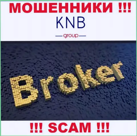 Тип деятельности преступно действующей компании KNBGroup - это Брокер