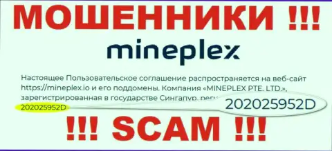 Регистрационный номер еще одной незаконно действующей организации Mineplex PTE LTD - 202025952D
