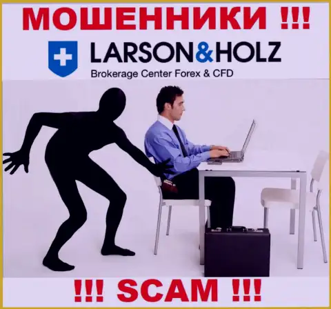 Larson Holz Ltd - это ЛОХОТРОНЩИКИ ! Хитрыми способами прикарманивают денежные активы