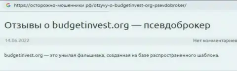 В компании BudgetInvest Org своровали вклады клиента, который угодил на крючок данных интернет аферистов (отзыв)