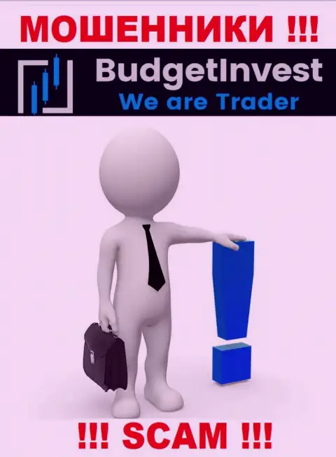 BudgetInvest - это интернет-мошенники ! Не говорят, кто конкретно ими управляет