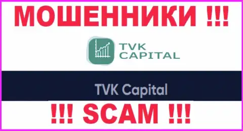TVK Capital - это юр лицо интернет-разводил TVK Capital
