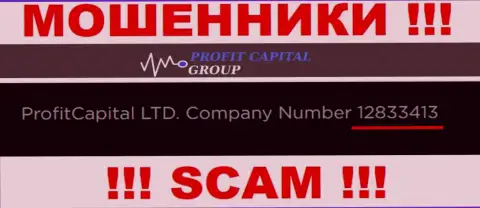 Регистрационный номер Profit Capital Group, который размещен мошенниками на их веб-сервисе: 12833413