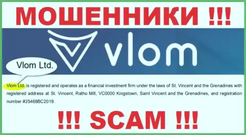 Юридическое лицо, владеющее мошенниками Влом Лтд - это Vlom Ltd